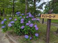 Miya River Watarai Park 