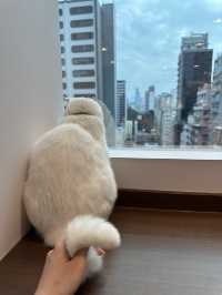 《Urban Cafe兆萬新店》