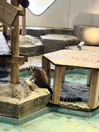 美術館…？いえ歴とした水族館です