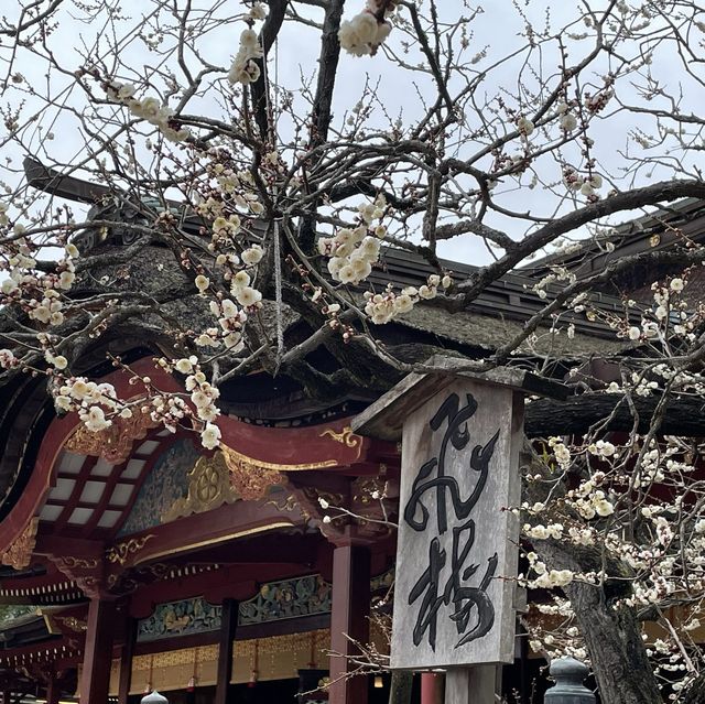 【福岡】太宰府天満宮の梅の種奉納