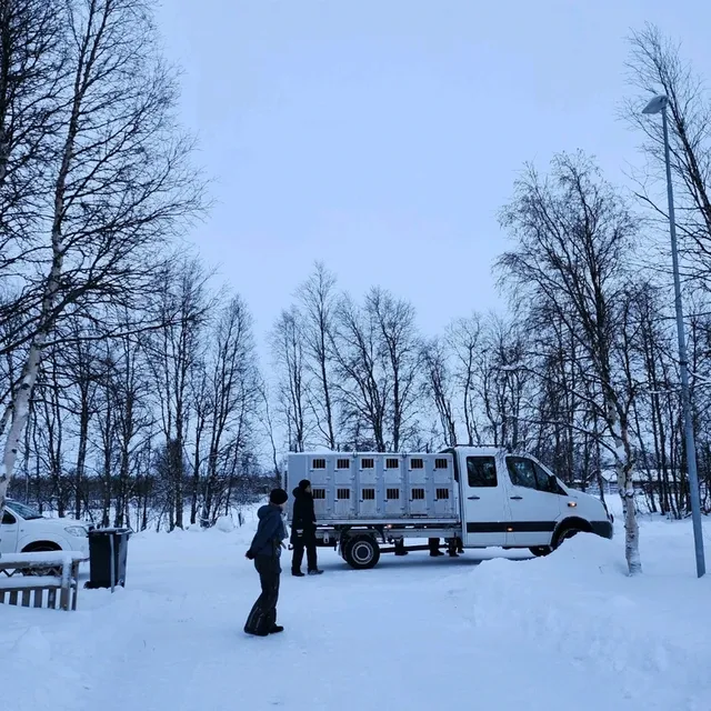 รีวิวกิจกรรมหมาลากเลื่อน#DogSleddingInKiruna