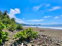 Dominical Beach