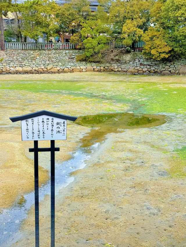 【絶景】海に浮かぶ美しき大鳥居！世界遺産嚴島神社で厄祓い⛩