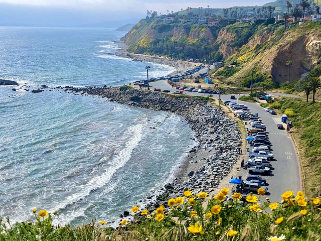 Royal Palms Beach Park