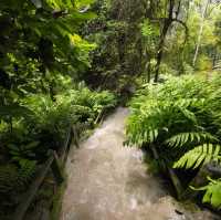 The mysterious Sticky waterfalls of Thailand 