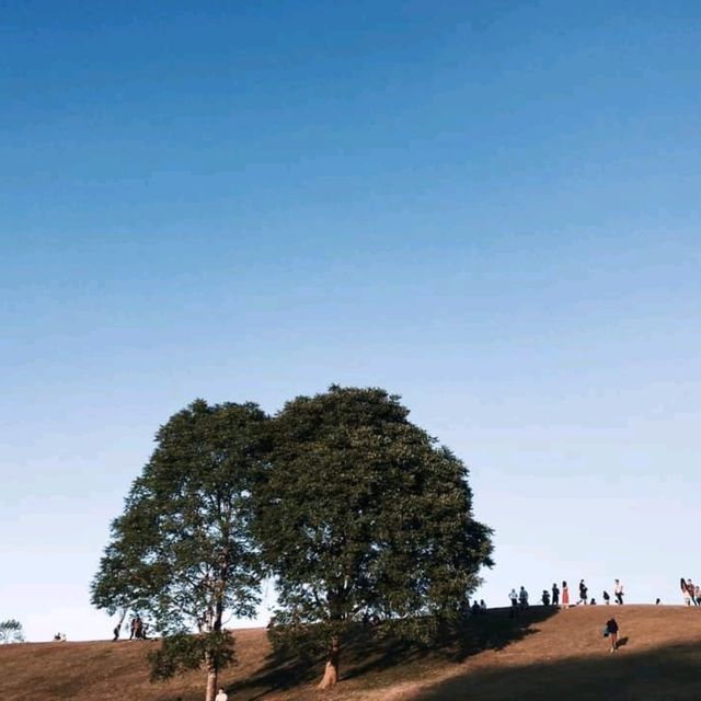พาใจลอยไป"ดอยเสมอดาว" 🌿⛰️💕🤩