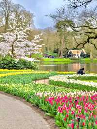 Keukenhof Gardens