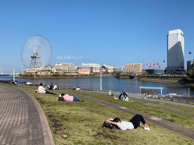 🎡Yokohama Cosmo World สวนสนุกริมทะเล เข้าฟรี