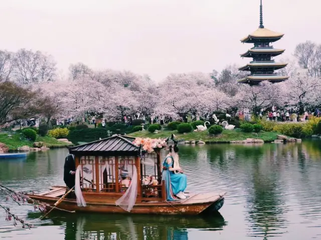 「東湖櫻花園」：仿日式建築🏗️