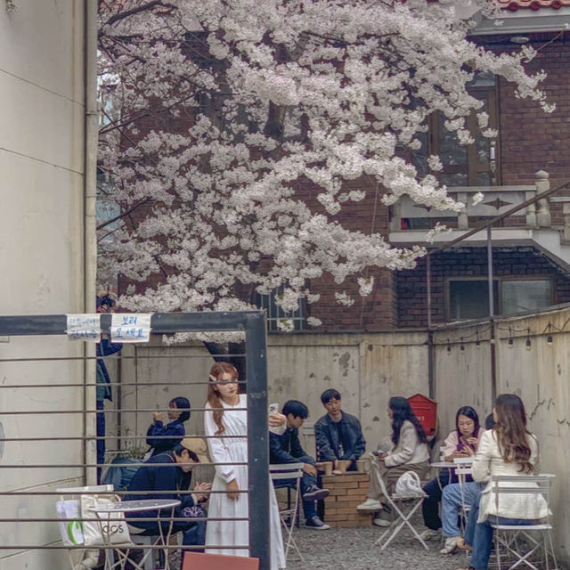 합정 벚꽃 루트 추천 코스