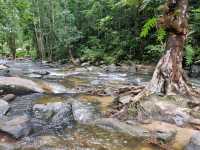 เขตรักษาพันธุ์สัตว์ป่า โตนงาช้าง