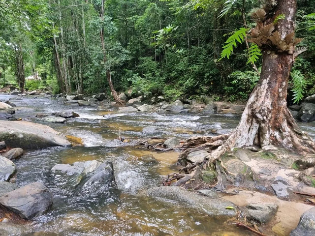 เขตรักษาพันธุ์สัตว์ป่า โตนงาช้าง