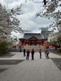 新宿花園神社～櫻花盛宴