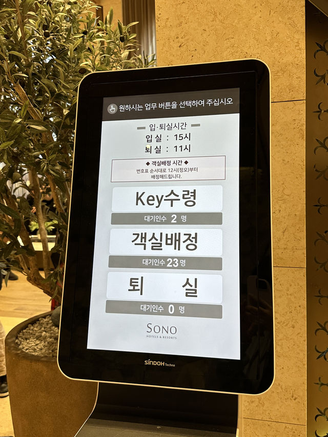 전라남도 이국적인 여행지 “진도쏠비”