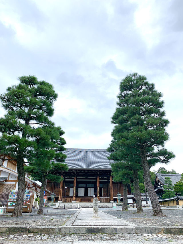 【京都観光】可愛いアヒルがお出迎え♡花玉手水に癒される寺院