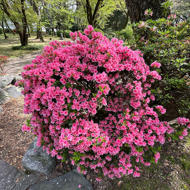 Flowering season at Nagoya 