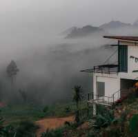 Caligo Resort สุราษฎร์ธานี