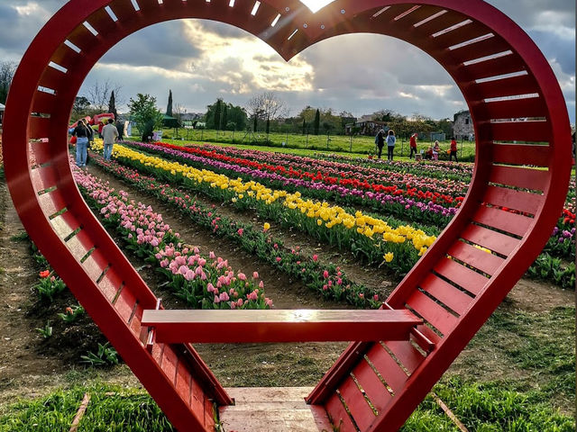 TuliPark - Roma