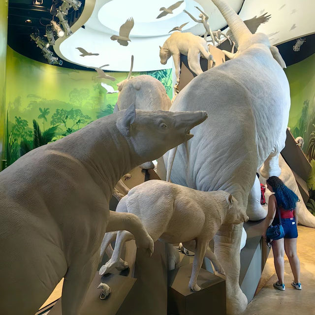 【倫敦景點】格蘭特動物博物館：珍稀物種展示，不可錯過的重要目的地