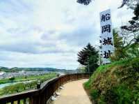 Cherry Blossom in Funaoka Castle Ruins Park