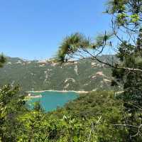 新加坡勿洛水庫公園：湖泊綠洲，適合身心放鬆