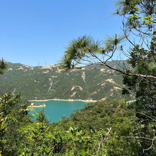 新加坡勿洛水庫公園：湖泊綠洲，適合身心放鬆