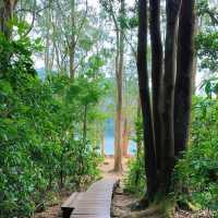 流水響水塘~綠意盎然