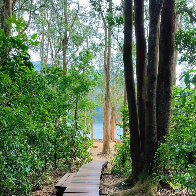 流水響水塘~綠意盎然 流水響水塘~綠意盎然