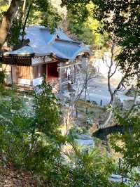 【貫井神社/東京都】湧水流れる美しい境内