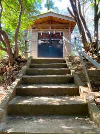【貫井神社/東京都】湧水流れる美しい境内