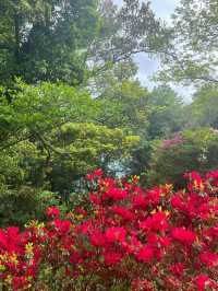 【山口観光】無料で楽しめるお出かけスポット🌼