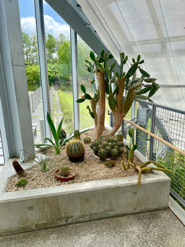 兵庫　リニューアルオープンしたての公園🌿