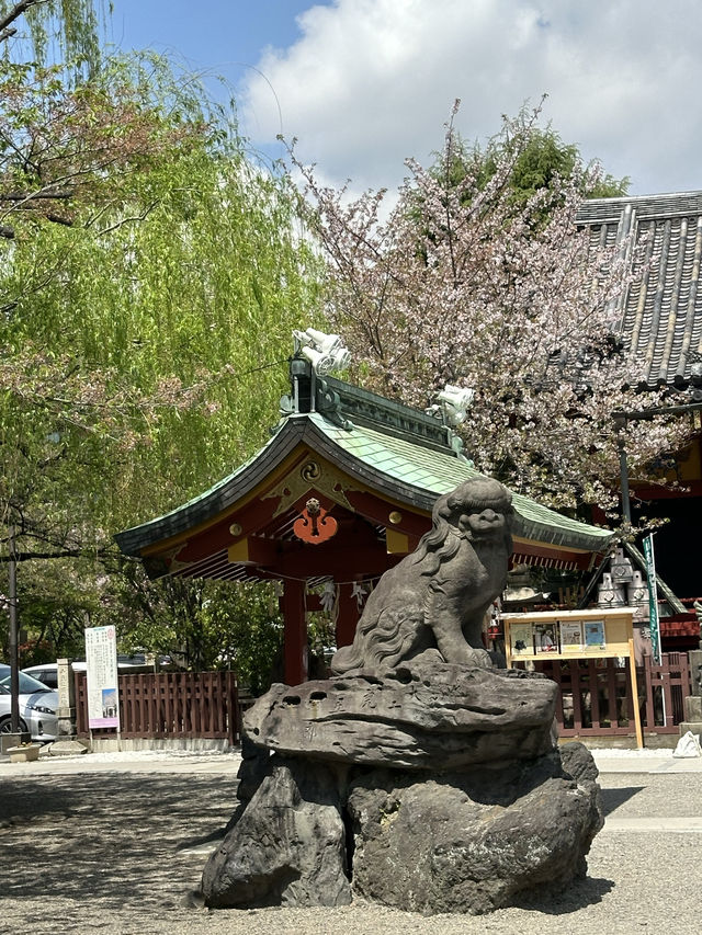 자연의 싱그러움, 분홍 꽃이 만발하고 🌸 나무와 풀의 푸르름이 깃든 🌳 도쿄 봄여행지 추천