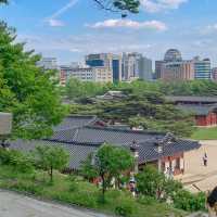 서울의 봄을 만끽하기에 안성맞춤인 경희궁 