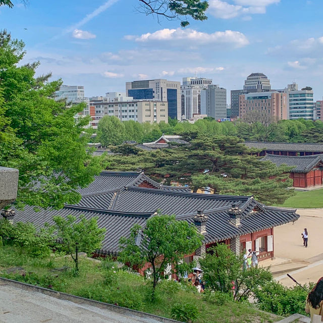 서울의 봄을 만끽하기에 안성맞춤인 경희궁 