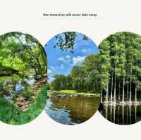 官廳水庫國家濕地公園：自然生態景觀