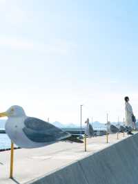 【香川】アートがいっぱいの女木島