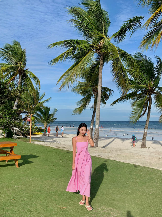 필리핀 보홀비치클럽 아고타타 레스토랑 🌴