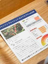 【東京都/日比谷】作業にぴったりな穴場カフェ