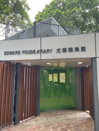 🌟春日探訪香港綠洲:尤德觀鳥園🌿