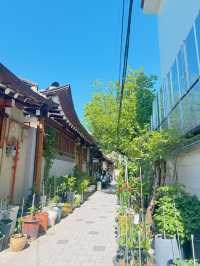【韓国】北村韓屋村とcafeが☕️安国で散歩