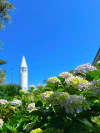 【神奈川】超穴場!!圧倒的絶景スポット✨