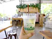 มาหาน้องหมาชามอยด์ ที่ Mesook farm