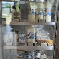 นมหน้าฟาร์ม 🐮🐄