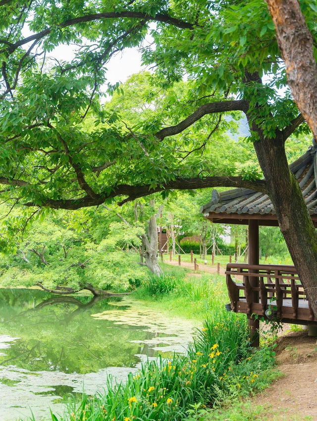 (일단 저장!) 힐링 여행이 필요하면 밀양으로 가야한다구? 제 1탄‼️