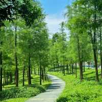 ```東湖公園～適合放鬆的綠色勝地```