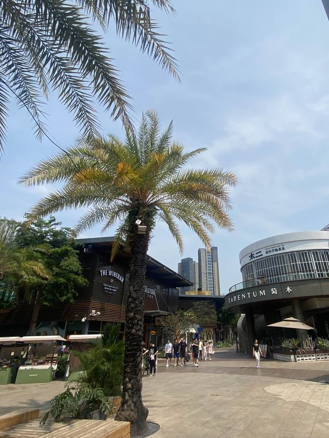 【深圳海上世界站】日與夜☀️之椰林樹影🌴休閒小歐陸海岸風情