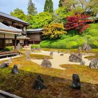 【2024春】龍台院：石頭、沙石、苔蘚打造的禪意枯山水庭園，適合春天遊玩