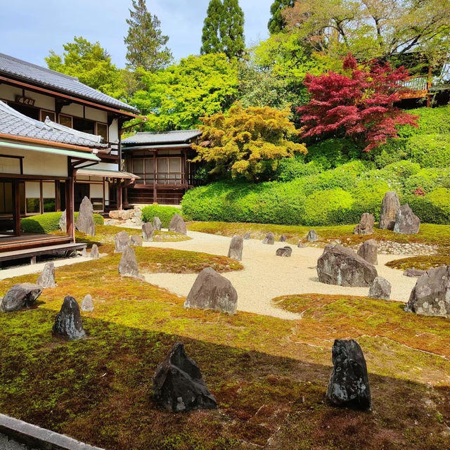 【2024春】龍台院：石頭、沙石、苔蘚打造的禪意枯山水庭園，適合春天遊玩