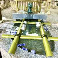 【佐賀県武雄市】武雄神社
